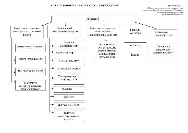 Организационная структура  учреждения                                                                          